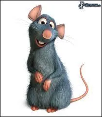 Quelle est la profession de Rmy dans  Ratatouille  ?