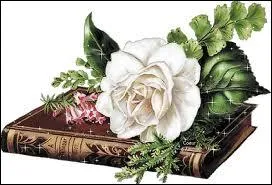 Quel est ce livre de Daniel Keyes qui porte le prnom d'une souris ?