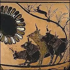 Il a t un compagnon de Jason. Il possde un immense troupeau, mais ne nettoie pas ses curies. C'est Hercule qui s'en charge en change d'un dixime de son troupeau. C'est ...