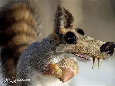 Dans  L'Age de glace , il passe son temps  la poursuite d'un gland !