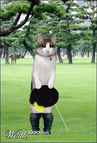 Il est extrmement rus ce serviteur du marquis de Carabas !