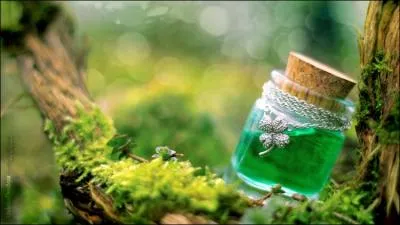 Qu'y a-t-il dans ce bocal ?