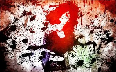 Cette image peut tre vue sous deux formes. Quel est le nombre inscrit ?