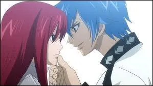 Dans Fairy tail  qui est ce couple ?