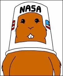 Comment s'appelle ce hamster ?