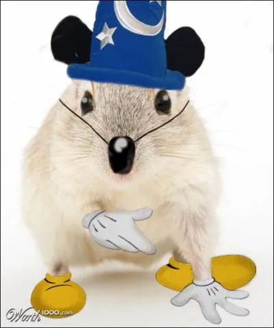 Notez bien qu'il porte des gants, ses chaussures sont typiques !