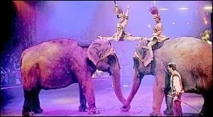 Quel est le nom du cirque qui s'est install place de la Rpublique de mercredi  dimanche  Boulogne ?