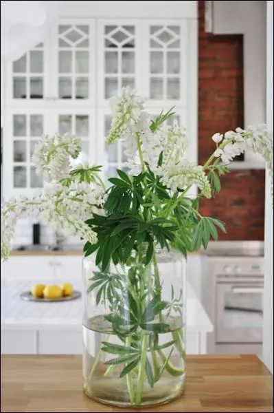 Un bouquet gracile et magnifique, grce  ces jolies fleurs qui sont aussi belles au jardin. Quelles sont-elles ?