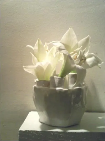 Toute l'originalit tient du vase, et du choix dlibr de se passer des tiges pour ne conserver que les fleurs. Quelles sont ces fleurs ?