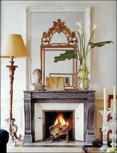 Poses sur la chemine dans un vase transparent, quelques-unes de ces fleurs trs styles composent une ambiance calme. Ce sont des ?