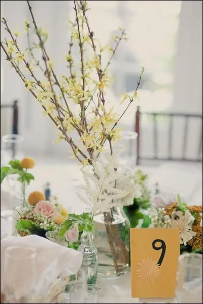 Trs facile  composer au printemps, voici parmi les premires fleurs  s'panouir tt dans la saison, avec leur belle couleur jaune. Ce sont des branches de ?