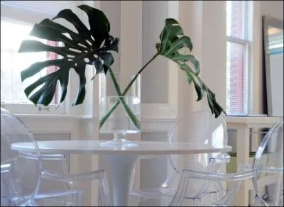 Un dcor peut aussi se raliser  partir de feuilles... Quelles sont ces grandes feuilles dcoupes ?