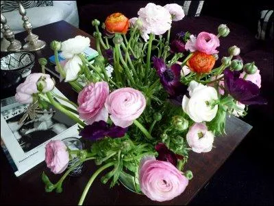 Un joli bouquet rond un peu indisciplin du fait de la fleur qui le compose, mlange  des anmones violettes, qui est ?