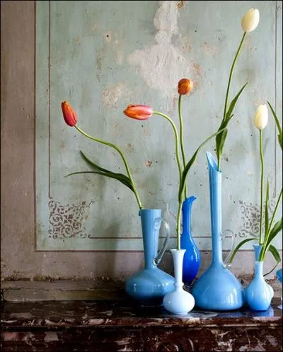 Ceci est une magnifique faon de prsenter des fleurs, chacune est place dans un vase diffrent, mais de mme couleur. Ce sont bien sr des ?