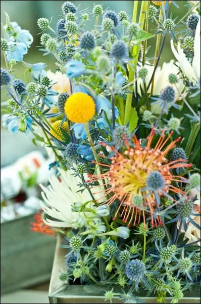 Dans cette composition arienne et champtre, quelles sont les fleurs  boutons bleus-verts ?