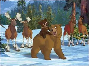 Quel est ce dessin anim avec des ours ?