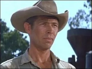 Qui est cet acteur, qui a interprt Britt, dans   Les 7 Mercenaires   ?