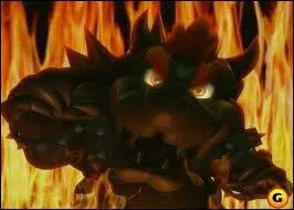 Quel est l'ge du mchant Bowser ?