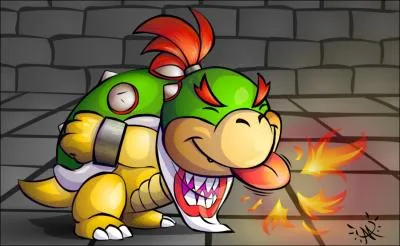 Quel est l'ge de Bowser Jr ?
