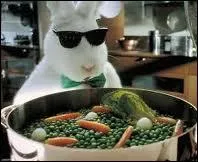 Pour qui celui-ci fait-il la publicit ?