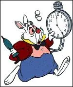 O peut-on rencontrer ce lapin blanc ?