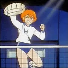 Dans quel dessin anim joue-t-on principalement au volleyball ?
