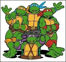 Les Tortues Ninjas s'appellent Michelangelo, Donatello, Leonardo et...