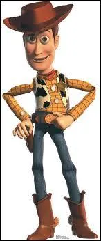 Quel est le nom de ce cowboy hros du premier long-mtrage d'animation ralis entirement par les studios Pixar ?