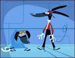 Comment s'appellent ces ratz ?