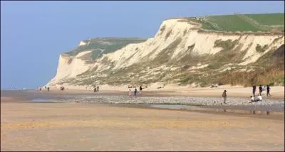 Qu'ont effectu 200 collgiens et lycens de cinq tablissements du Calaisis mardi dernier sur le sable de Wissant ?