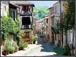 Dominant la valle du Crou, dans le Tarn, avec ses murailles fortifies, ses ruelles troites aux demeures bourgeoises, c'est ...