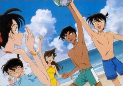De qui est amoureux Shinichi Kudo ?