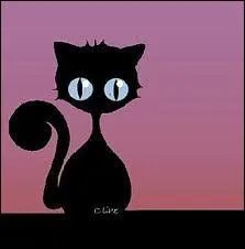 Un chat est seul dans le désert, il se met à déféquer, les chats sont propres... il cherche à s'essuyer, mais dans le désert, pas de papier ! Que faire ?