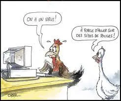 Vous éteignez "quizz biz" à 20 h 30 pour aller vous coucher :