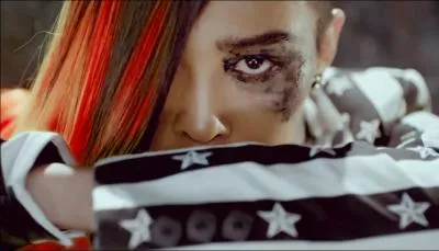 A quel groupe appartient-il ?