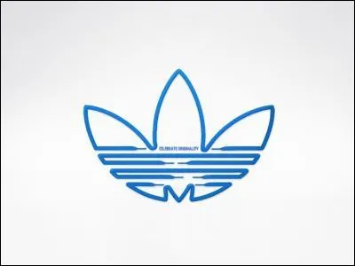 Quelle est cette marque d'articles de sport ?