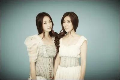 A quel label appartient le groupe Davichi ?