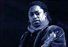 Ou encore le bassiste...