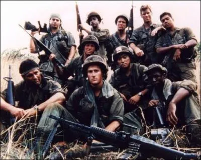 Le titre Paint it Black, est le titre phare de cette srie tlvise amricaine sur la guerre du Vietnam. Quelle est cette srie ?