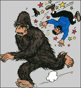 Cet animal trs poilu court la montagne, quelque part du ct oriental du globe. Qui est-ce ?