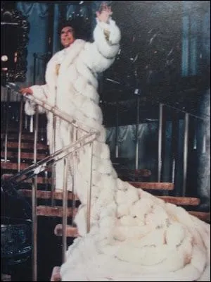 Couvert de poils, poils nobles s'il en est puisqu'il s'agit de fourrures, c'est le musicien pianiste ultra-star aux USA, et quasi inconnu  l'extrieur, qui a pour nom ?