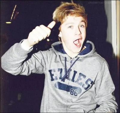 De quel chanteur ou groupe est-il fan ?