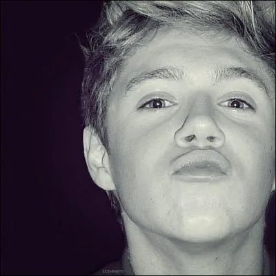 Selon Louis, dans une Vido Diary, Niall est :