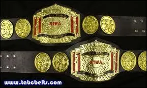 Quel titre n'est pas dans SmackDown vs Raw 2011 ?