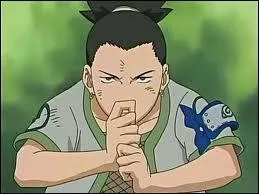 SHIKAMARU : Pourquoi le clan NARA est-il reconnu  Konoha ?