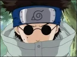 SHINO : Depuis le dbut de la srie, Shino n'a perdu qu'un seul combat. Qui tait son adversaire ?