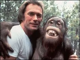 Philo Beddoe gagne sa vie en participant  des combats de boxe  mains nues... Dans quel film de 1978 est-il accompagn par un orang-outan ?