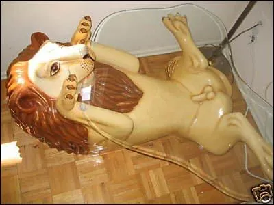 Encore une jolie petite table... qui prsente l'anatomie complte...