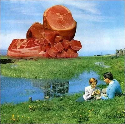 Aussi invraisemblable que cela paraisse, un publicitaire a eu l'ide de prsenter un couple devant... ?