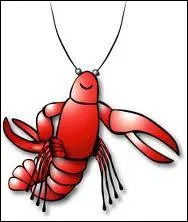 Ecrevisse : crustac dcapode d'eau douce.